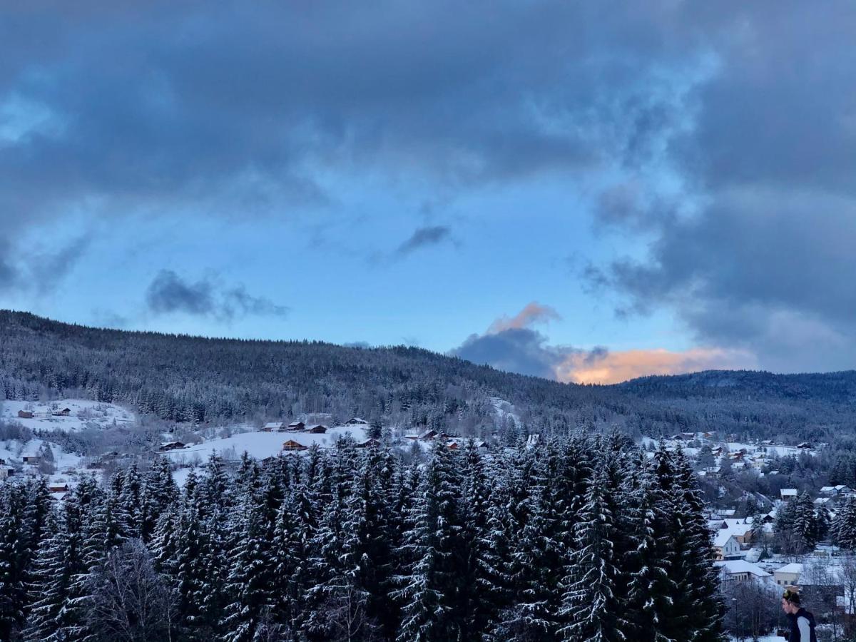 Chalet Le Bois Des Neiges Authentique A 5 Mn De Gerardmer *
