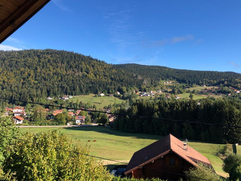 Le Bois Des Neiges Authentique A 5 Mn De Gerardmer Chalet *