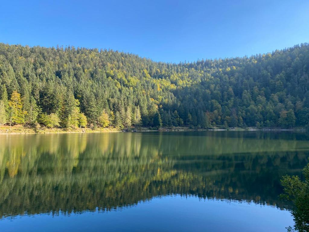 Le Bois Des Neiges Authentique A 5 Mn De Gerardmer Chalet Xonrupt-Longemer